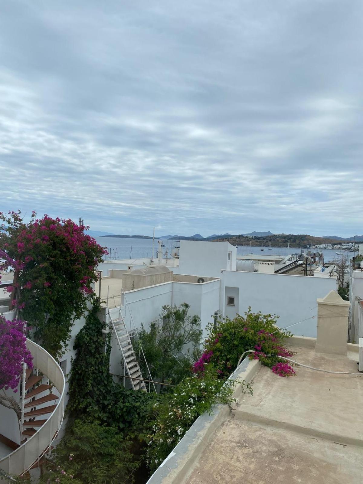 Izan Villa Bakis Apartments Αλικαρνασσός Εξωτερικό φωτογραφία