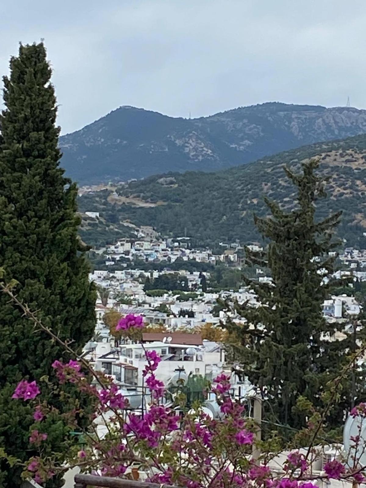Izan Villa Bakis Apartments Αλικαρνασσός Εξωτερικό φωτογραφία